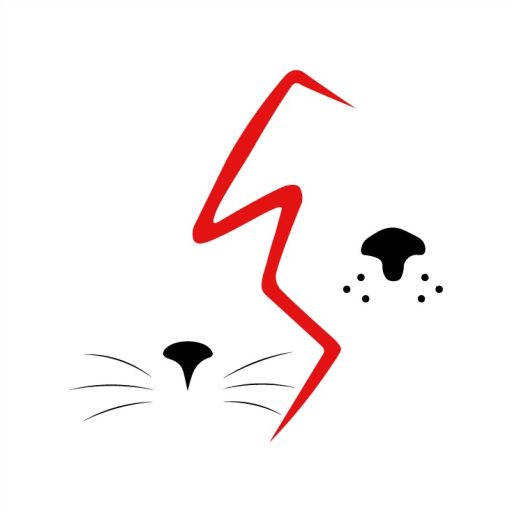 uzmvet.com